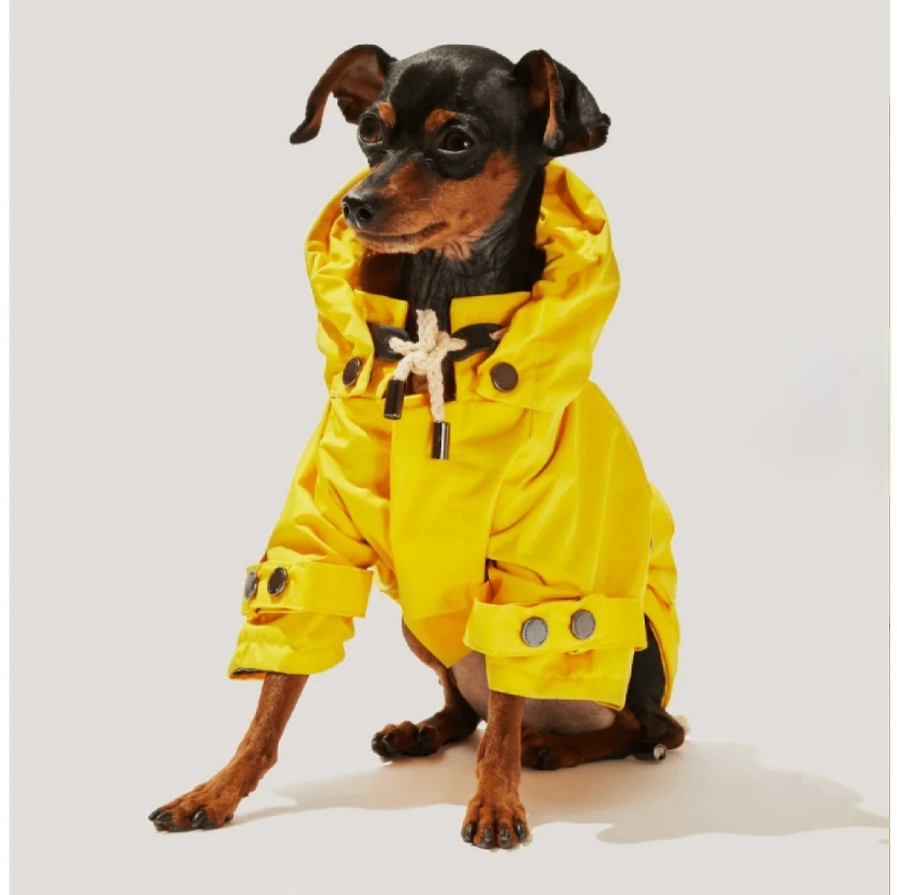 Maxbone Talon Raincoat in Rubber Ducky Yellow